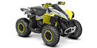2019 Can-Am Renegade X xc 1000R