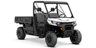 2020 Can-Am Defender PRO DPS HD10