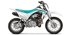 2023 Honda CRF 110F