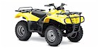 2004 Suzuki Eiger Automatic 400 4X2