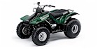 2004 Yamaha Breeze Automatic 2WD