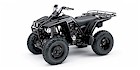 2004 Yamaha Wolverine 4x4