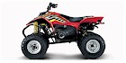 2005 Polaris Trail Blazer 250