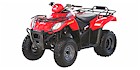 2006 Arctic Cat 250 2x4