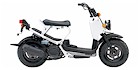 2006 Honda Ruckus Base