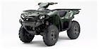 2006 Kawasaki Brute Force 750 4x4i