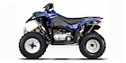 2006 Polaris Phoenix 200