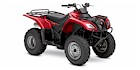 2006 Suzuki Ozark 250