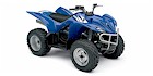 2006 Yamaha Wolverine 450 4x4