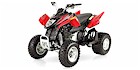 2007 Arctic Cat 250 DVX