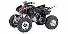 2007 Honda TRX 300EX