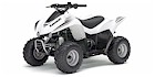 2007 Kawasaki KFX 50
