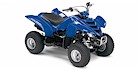 2007 Yamaha Raptor 50