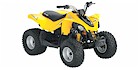 2008 Can-Am DS 250