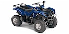 2008 Yamaha Raptor 80