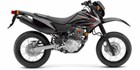 2009 Honda CRF 230M