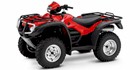 2009 Honda FourTrax Foreman Rubicon