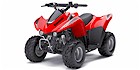 2009 Kawasaki KFX 50