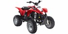 2009 Polaris Trail Blazer 330