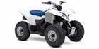 2009 Suzuki QuadSport Z90