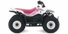 2009 Suzuki QuadSport Z50 Special Edition