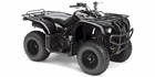 2009 Yamaha Big Bear 250