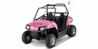 2010 Polaris Ranger RZR 170
