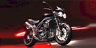 2010 Triumph Speed Triple 15th Anniversary Special Edition