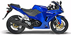 2013 Bennche Rival 250r