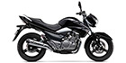2013 Suzuki GW 250