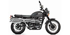 2013 Triumph Scrambler Base