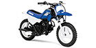 2013 Yamaha PW 50