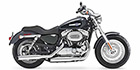 2014 Harley-Davidson Sportster 1200 Custom