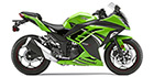 2014 Kawasaki Ninja 300