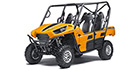 2014 Kawasaki Teryx4 Base
