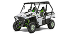 2015 Kawasaki Teryx LE