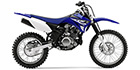 2015 Yamaha TT-R 125LE