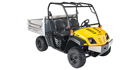 2019 Cub Cadet Volunteer WT