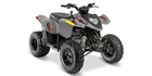 2024 Polaris Phoenix 200