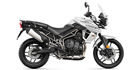 2019 Triumph Tiger 800 XR