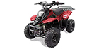 2022 Bennche Hawk 110