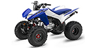 2022 Honda TRX 250X