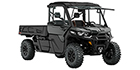 2024 Can-Am Defender PRO Limited HD 10