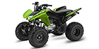 2023 Honda TRX 250X