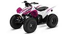 2023 Honda TRX 90X