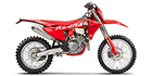 2024 GASGAS EW 500F