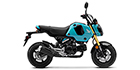 2024 Honda Grom Base