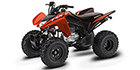 2024 Honda TRX 250X