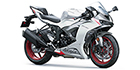 2024 Kawasaki Ninja ZX-6R ABS