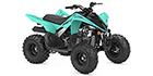 2024 Yamaha Raptor 110